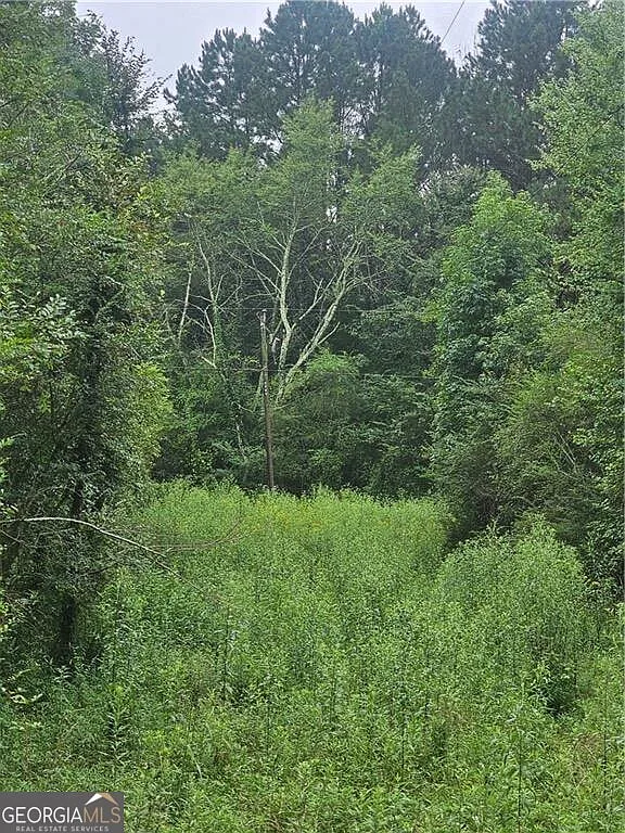 0 Crowe Springs Spur NW photo 1