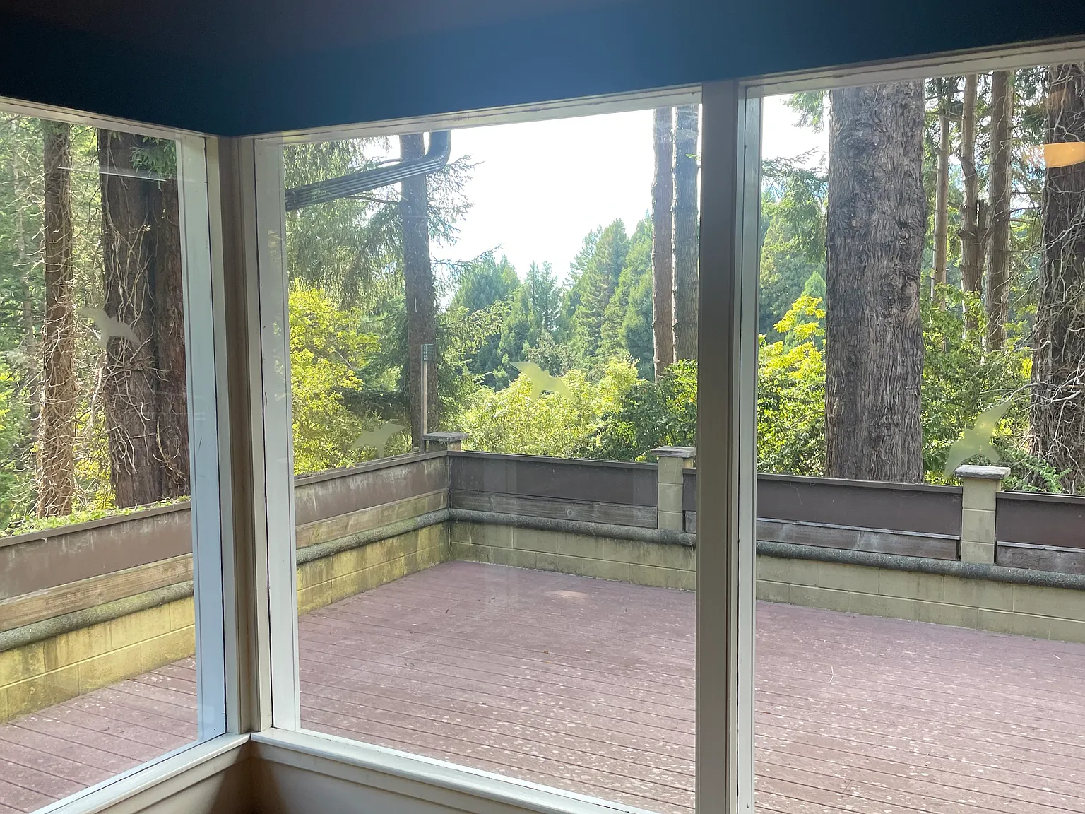 3 bed, 1800 sqft, $2,400 — Photo 3