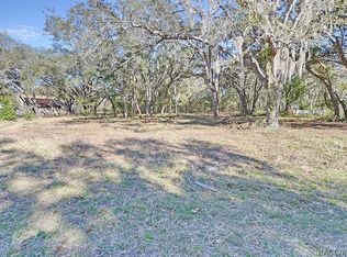 163 N Fresno Ave, Hernando, FL 34442