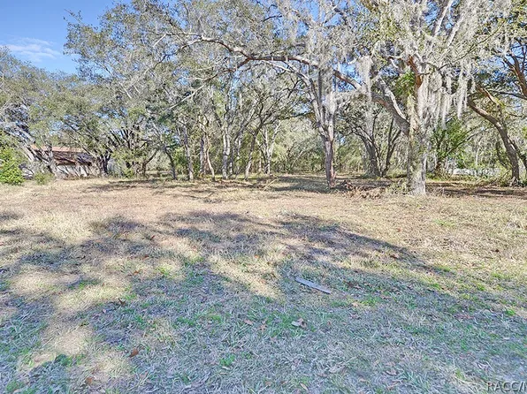163 N Fresno Ave, Hernando, FL 34442