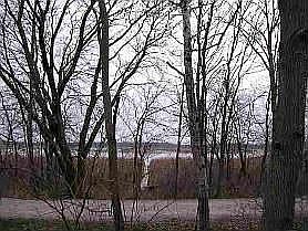 Back Yard-Bike Trail