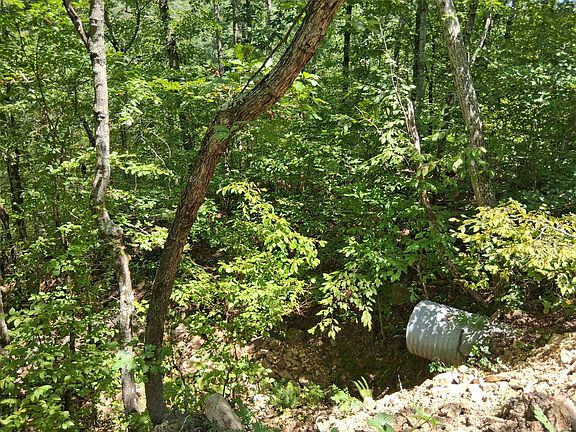 3rd image of 95-96 Three Rivers #95-96