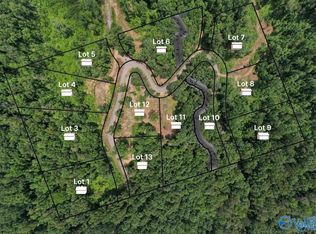 LOT 1 Wyeth Dr, Guntersville, AL 35976