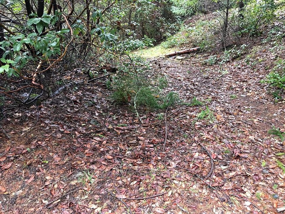 1st image of 973 Forest View Dr