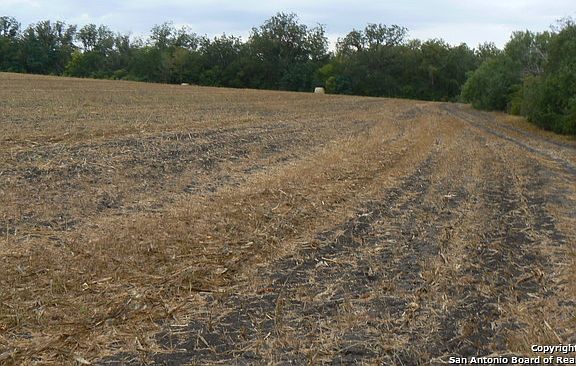 4th image of 38 ACRES FM 541 E