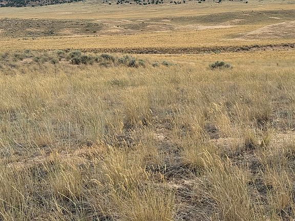 5th image of 16 Old Dam Rd
