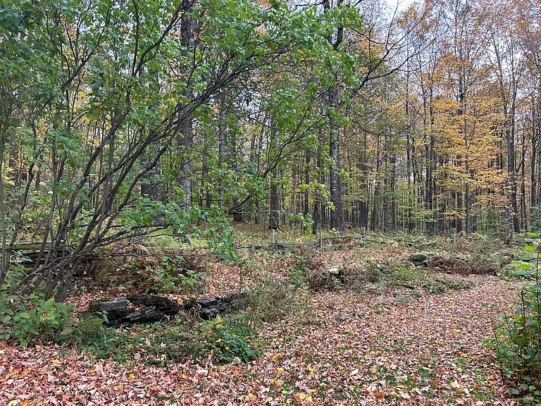 1504 Nelson Hill Rd — Photo 2