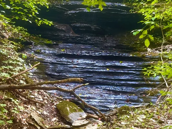 0 Highway 100, Centerville, TN 37033