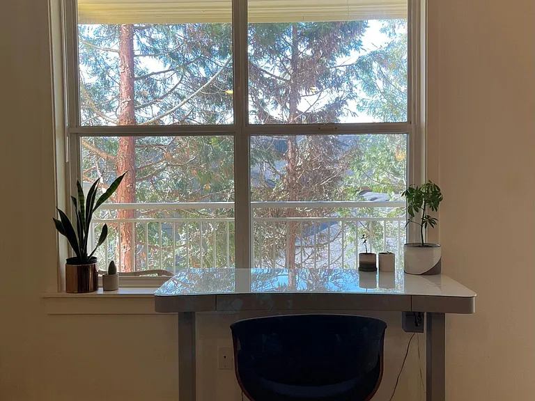 Large windows