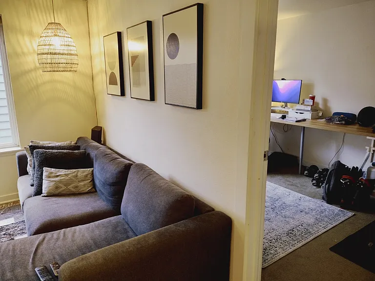 Lower Level Living Room and Bedroom