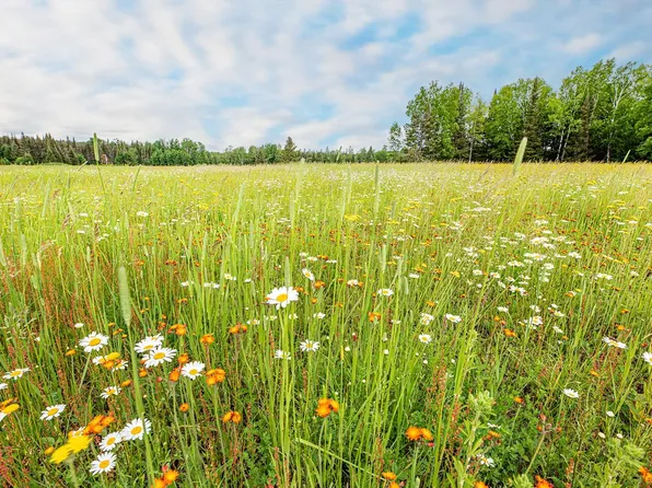 Off Big Lake Loop Rd S #69AC, Three Lakes, WI 54562