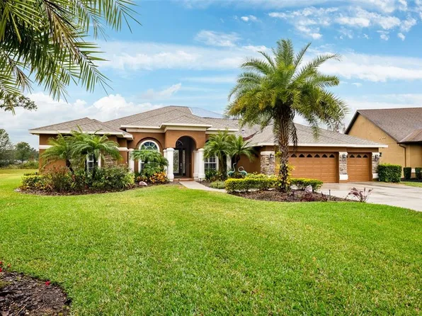 3414 Graycliff Ln, Brandon, FL 33511