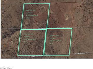 9572 Old School Bus Trl, Snowflake, AZ 85937