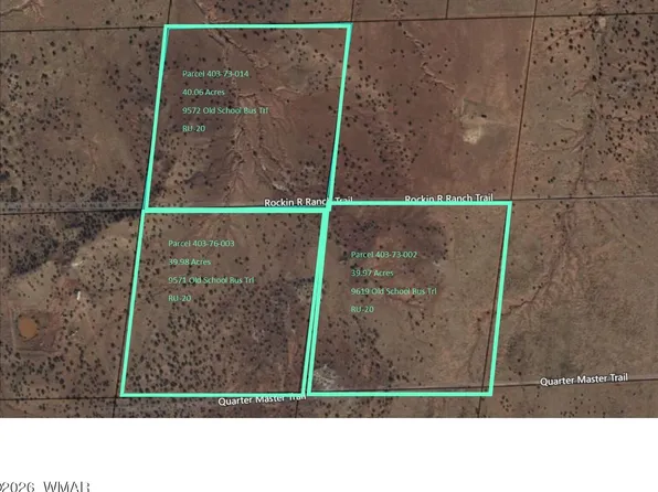 9572 Old School Bus Trl, Snowflake, AZ 85937