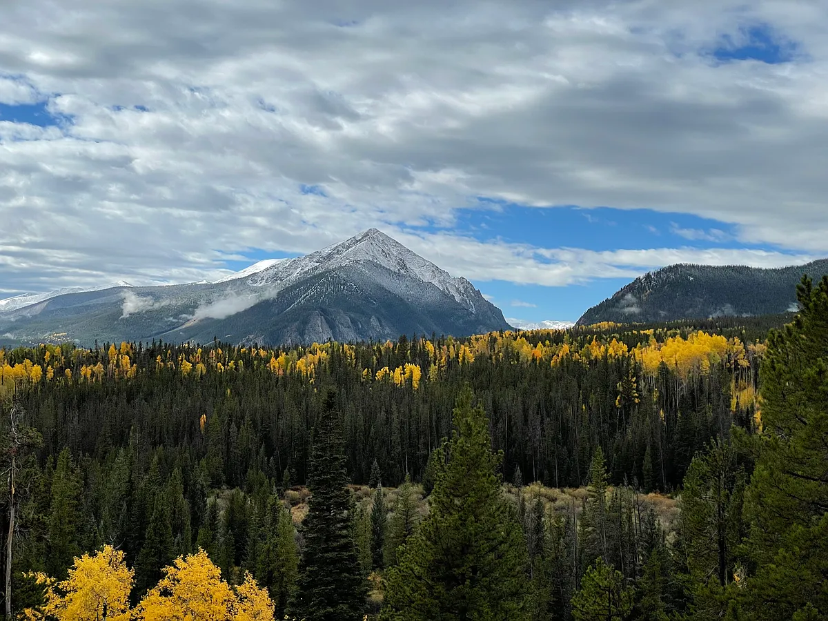 View from the deck in fall - 9460 Ryan Gulch Rd #62