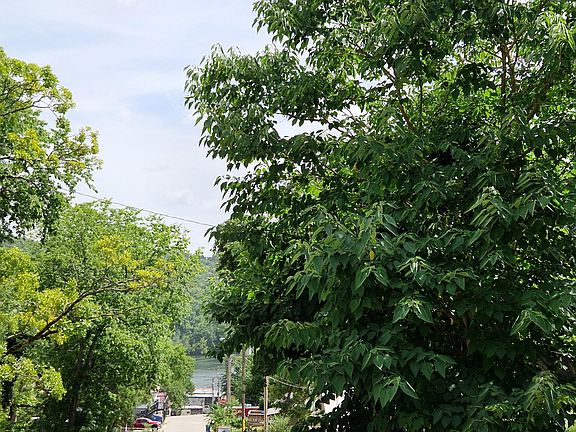 4th image of Lot 14 Recreation Avenue