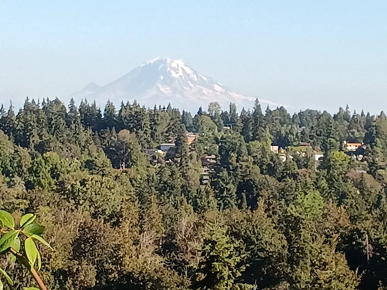 view from deck