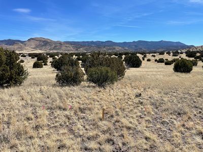 38 & 39 Brahman Rd, Magdalena, NM, 87825