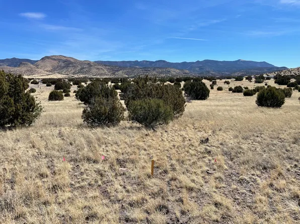 38 & 39 Brahman Rd, Magdalena, NM 87825