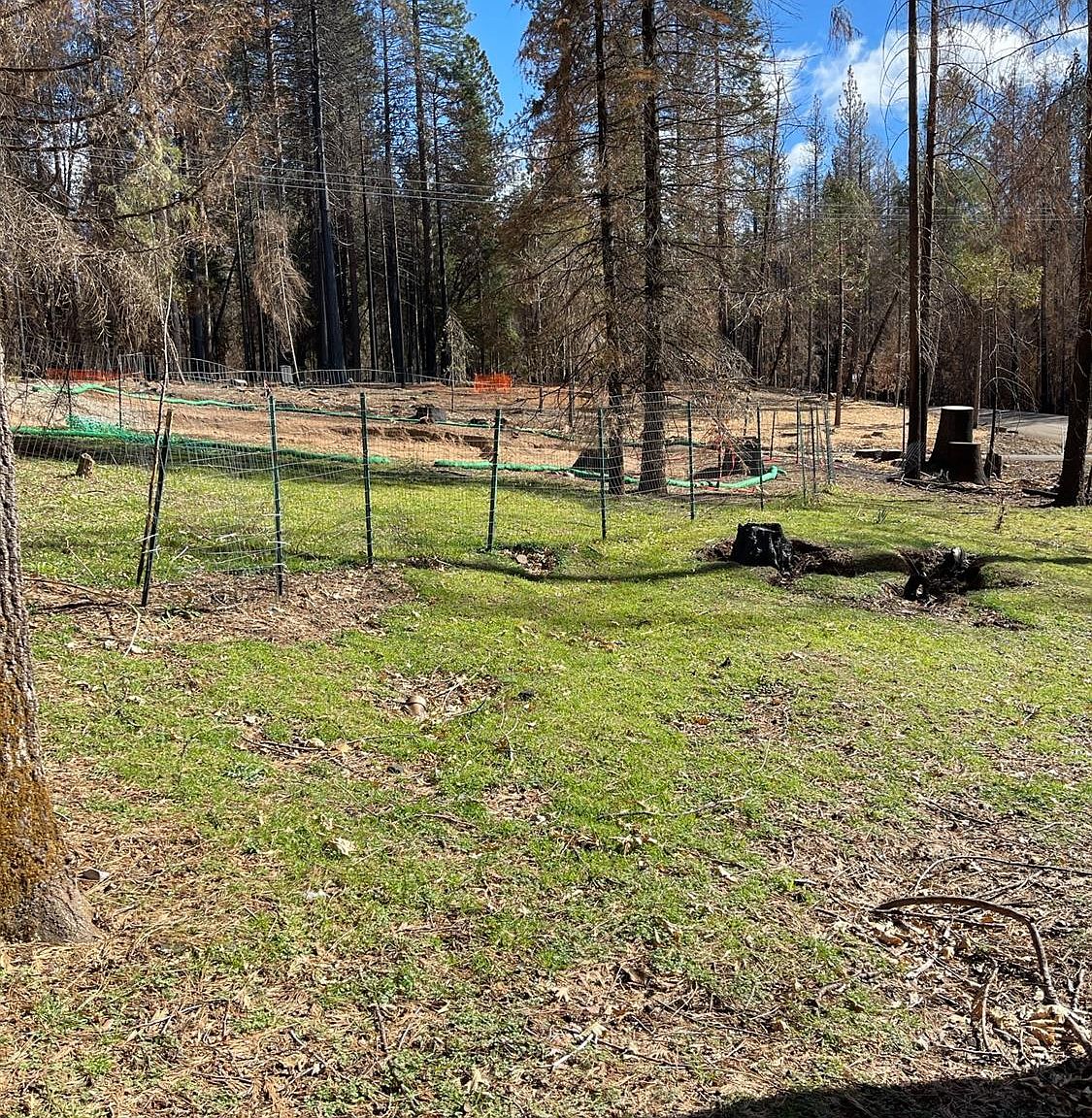 4914 Meadow Glen Dr, Grizzly Flats, CA 95636 Zillow