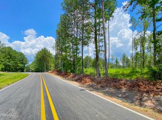 Saint John Rd, Braxton, MS 39044