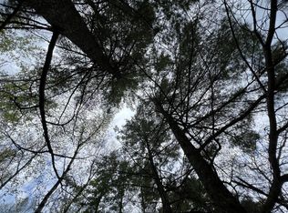 George Dr NW, Bemidji, MN 56601