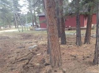 114 Beaver Trl, Bailey, CO 80421