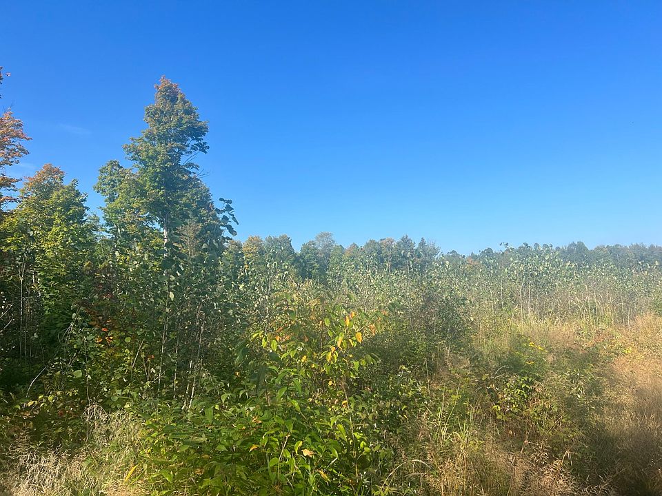 2nd image of Forsberg Little Finland