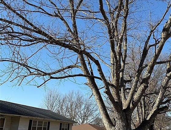 5th image of 501 Locust St