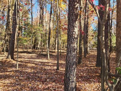 3901 Langston Cir #2, Apex, NC, 27539