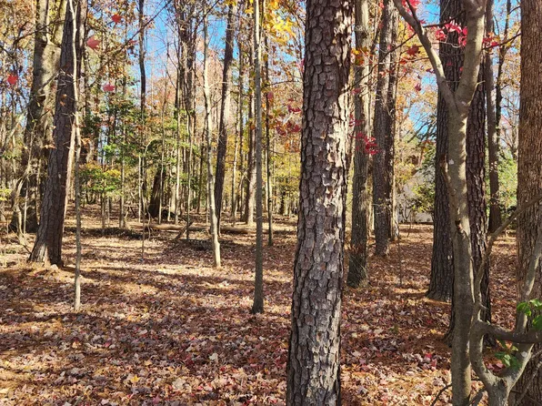 3901 Langston Cir #2, Apex, NC 27539