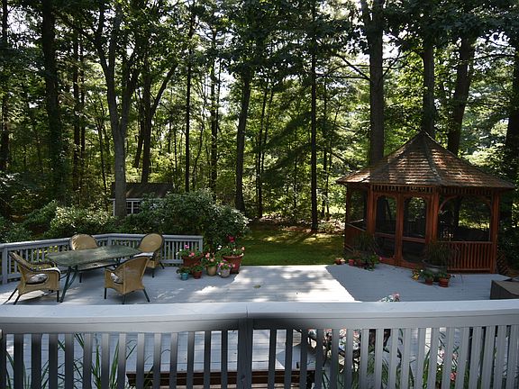 Backyard View out