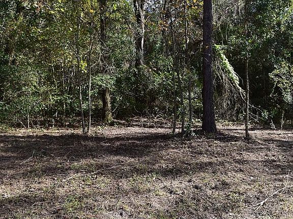 4th image of 0 Savannah Oaks