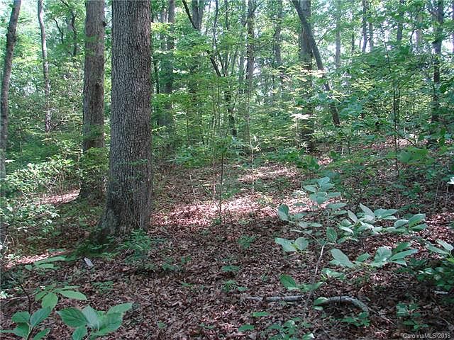 2nd image of Tbd Beaverdam Rd