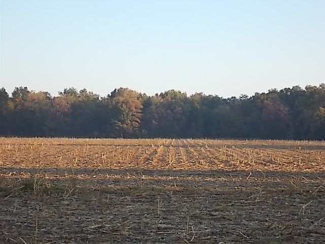 1st image of 525 E 3200th Ave