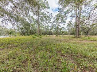 331 Appaloosa Rd, Tarpon Springs, FL 34688