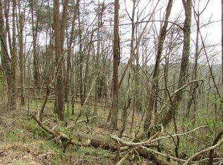 19 Whisenant Mountain Rd, Ellijay, GA 30540