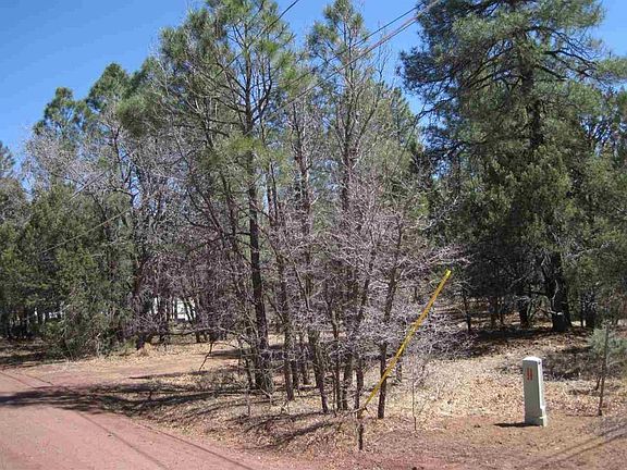 4th image of 3299 Lynx Dr