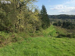 2nd image of 0 Bluff Rd