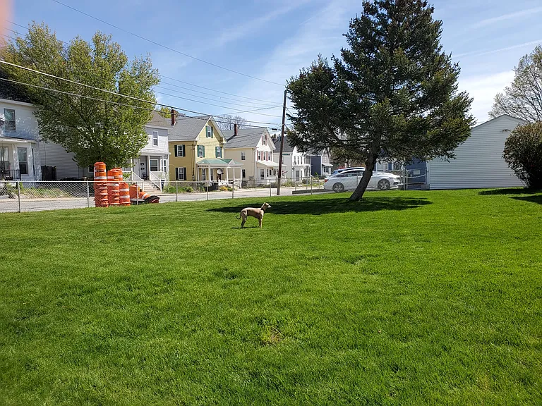 17 Norton St #2 — Photo 26