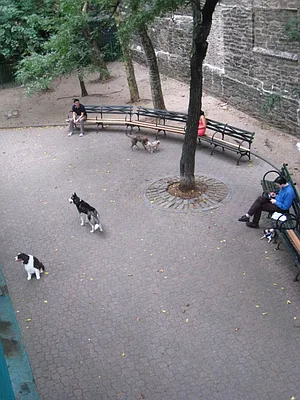 Rented by City Connections Realty | media 1