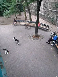 Rented by City Connections Realty