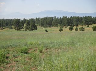 768 Keepsake Loop, Westcliffe, CO 81252