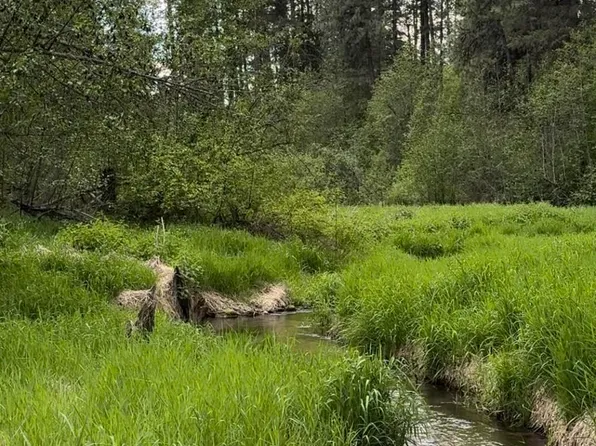 500 Beck Ln Lot 5, Springdale, WA 99173