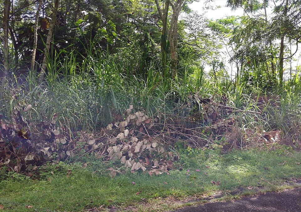 1st image of Nenue St Lot 5