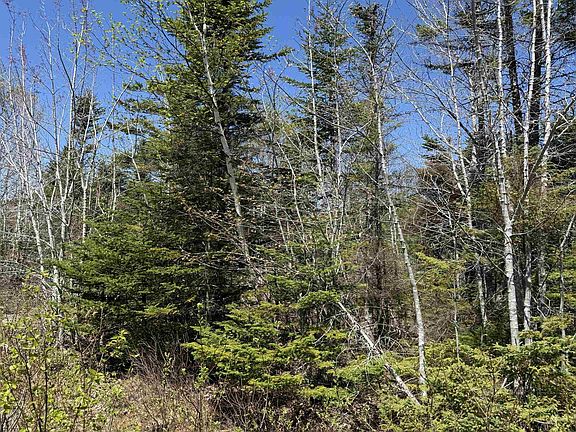 4th image of Marble Mountain Rd Lot 22