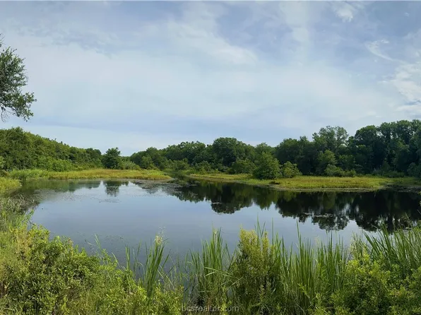 20/ACRE S Fm 2549, Franklin, TX 77856