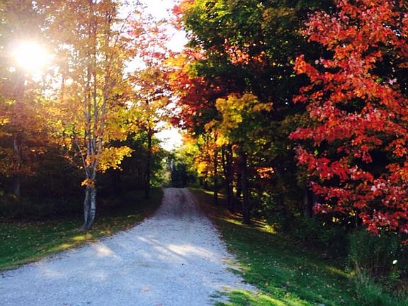 driveway in the fall
