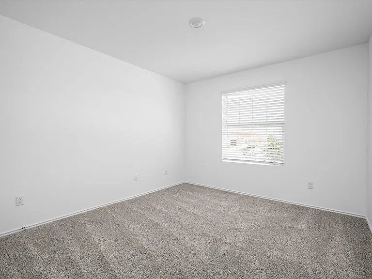 104 Vintage Dr — Photo 15