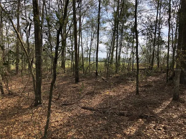 NW 15TH AVENUE LOT 8, BRANFORD, FL 32008